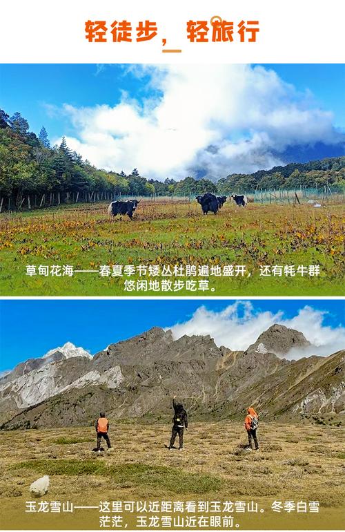 旅游招徠與委托操作的法律關系解析 以福建東南游國際旅行社為例